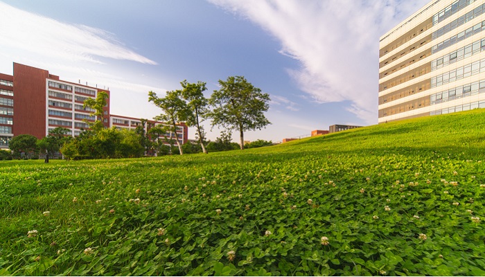 华东理工大学在哪里