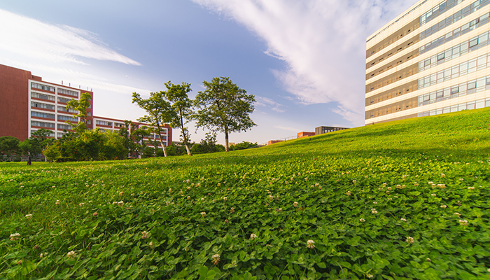 山东理工大学在哪