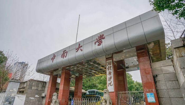 中南大学在哪个省