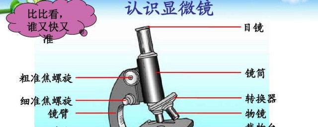 使用显微镜时的对焦方法 使用显微镜时的对焦方法是什么