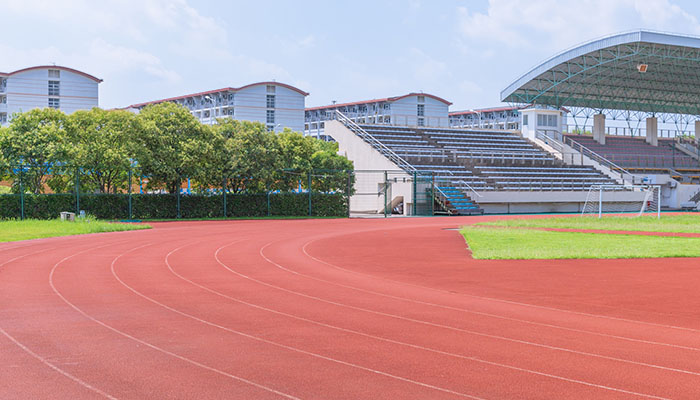 东北林业大学在哪