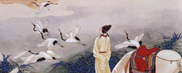 柳永简介资料 柳永简介资料是什么