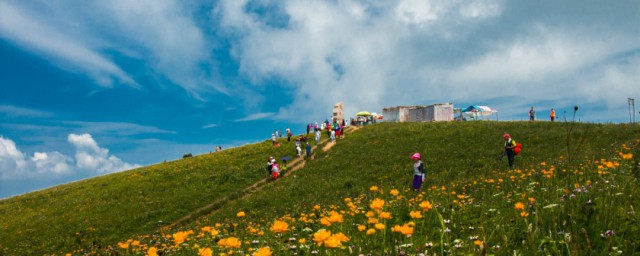 石家庄驼梁旅游景点简介 驼梁风景区的资料