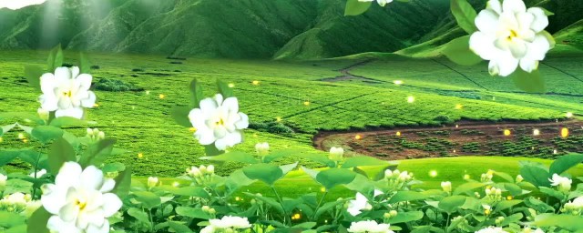 茉莉花歌曲简介 茉莉花的创作背景是怎样的