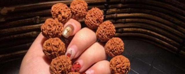 菩提不能乱戴 佩戴菩提子有什么禁忌
