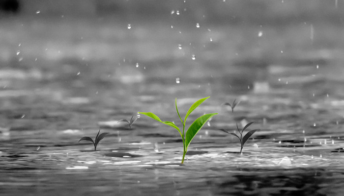 干冰人工降雨的原理