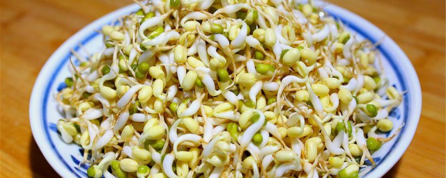 家庭发豆芽的方法 家庭发豆芽的方法是什么