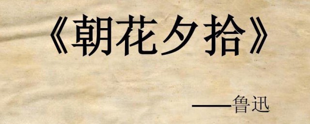 朝花夕拾内容简介 朝花夕拾内容简介是什么