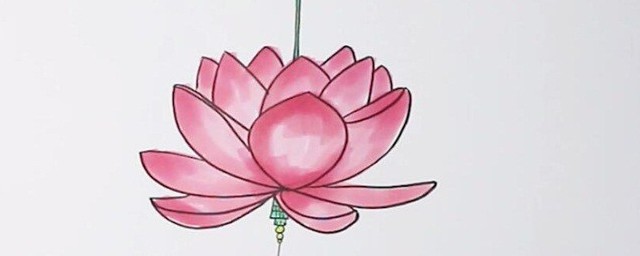 莲花怎样画 莲花灯简笔画教程
