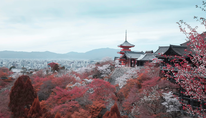 日本全称
