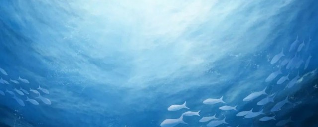 海底两万里的介绍 海底两万里的简介