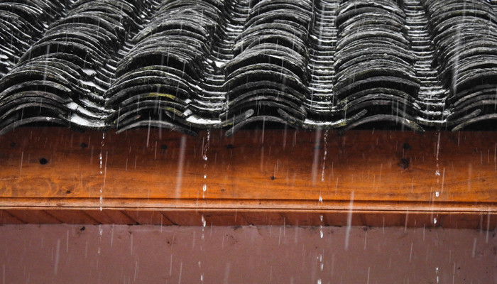 苏州梅雨季节是几月份