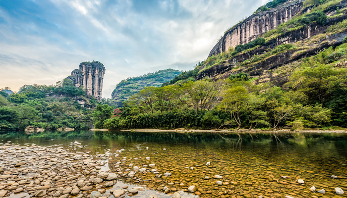 武夷山四大名枞是什么