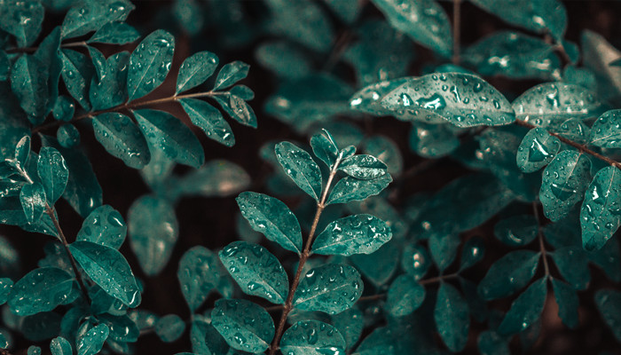 宁波梅雨季节是几月份