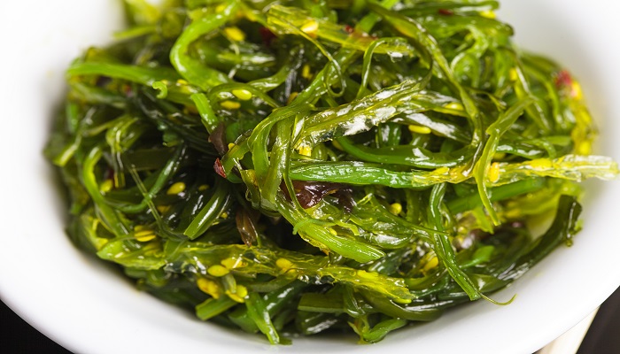 龙须菜和石花菜区别