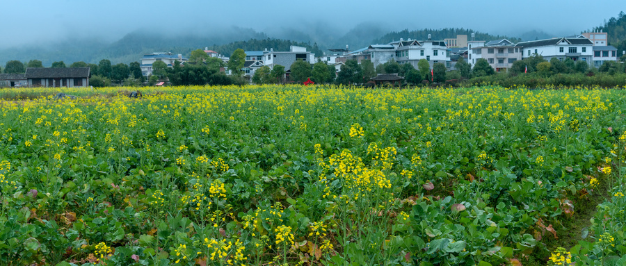 古田在哪里