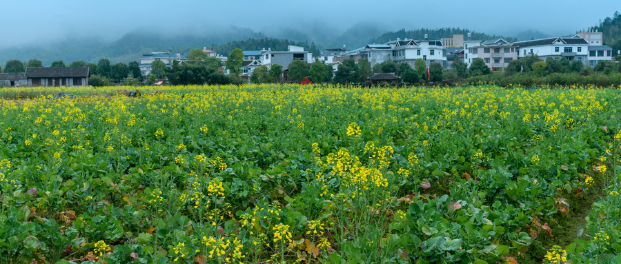 古田会议在哪个省哪个市