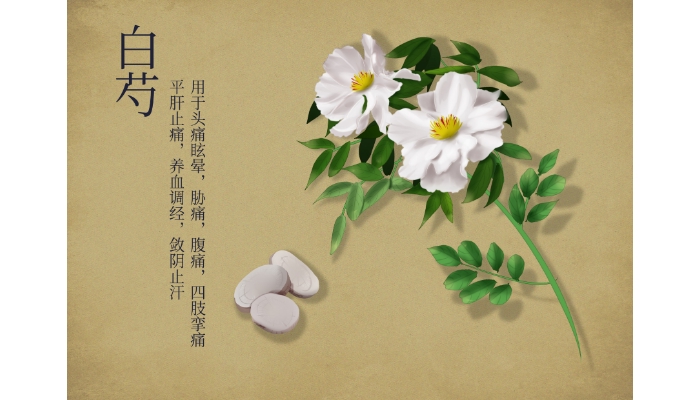 三白茶的功效和作用