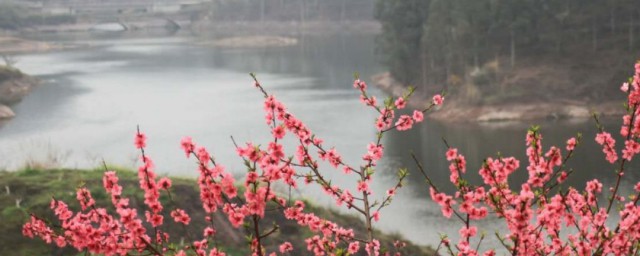 湖北十堰桃花岛的来历介绍 关于湖北十堰桃花岛的来历介绍