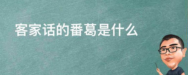 客家话的番葛是什么 客家话的番葛的意思简介