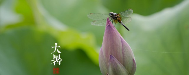 大暑节气我们怎样避暑 怎样在大暑节气避暑