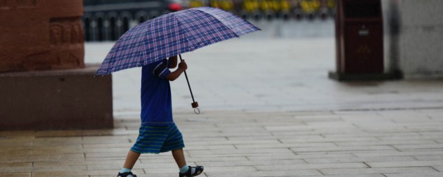 撑伞也是雨中人是什么梗 撑伞也是雨中人解释