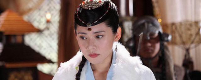 秋瓷炫木府风云演员表 木府风云简介