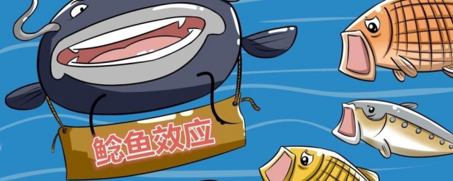 鲶鱼效应说明什么道理 鲶鱼效应介绍