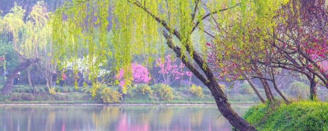 赏析山重水复疑无路柳暗花明又一村 山重水复疑无路柳暗花明又一村原文及翻译