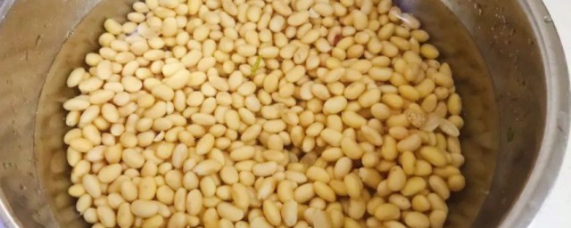 豆子怎样储存不会生虫 黄豆保存方法