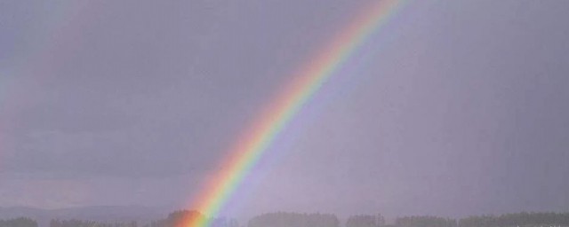 花太阳彩虹你歌词 花太阳彩虹你歌曲简介