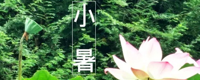 小暑是进伏的第一天吗 小暑是进伏的第一天就开始吗