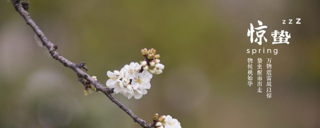 惊蛰意思 惊蛰是什么意思