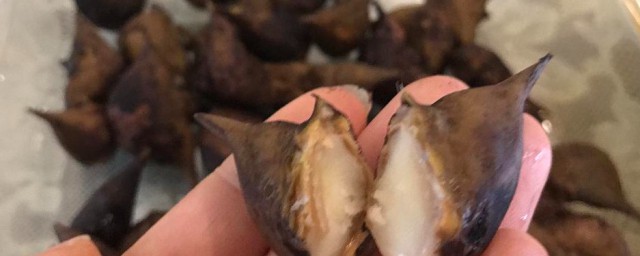 菱角是什么意思 菱角简单简介