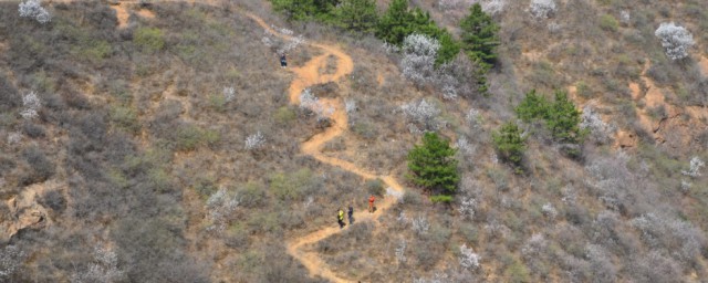 羊肠小道什么意思 羊肠小道简单释义