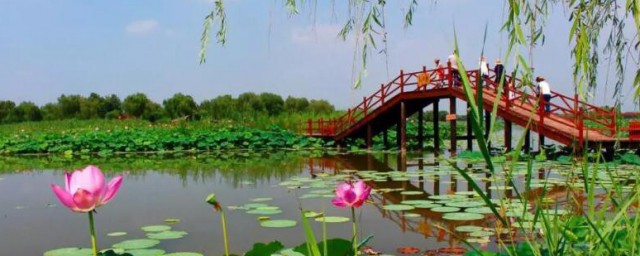 白洋淀旅游攻略六大注意事项 白洋淀旅游攻略有什么注意事项