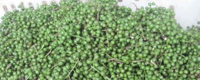 青花椒怎么储藏 怎么储藏青花椒
