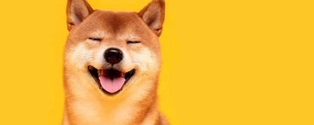 收集笑话大全 收集笑话大全有哪些