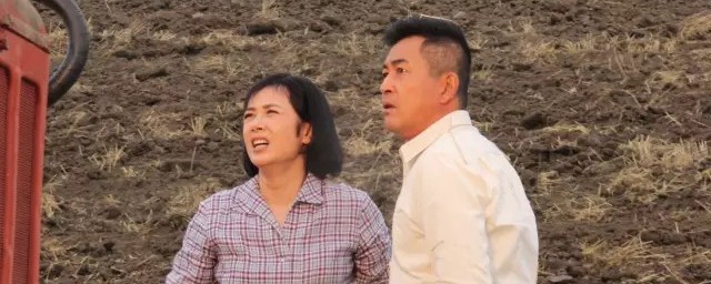 花儿与远方人物简介 花儿与远方人物有哪些