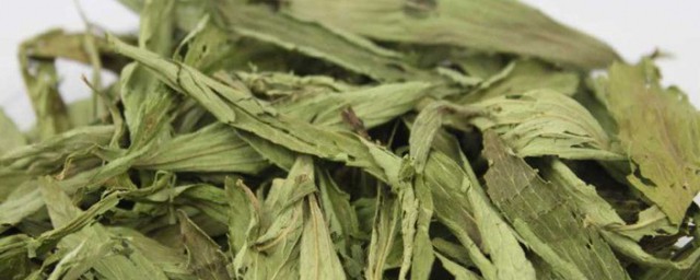 甜叶菊的功效与禁忌有哪些 甜叶菊的功效与禁忌简单介绍