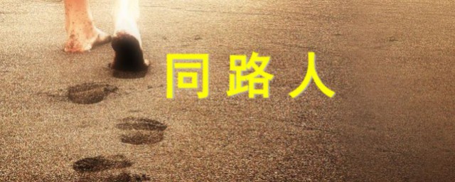 同路人歌词 同路人歌词是什么