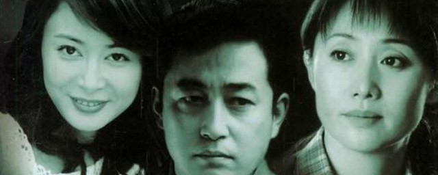 人证电视剧剧情介绍 人证电视剧简介