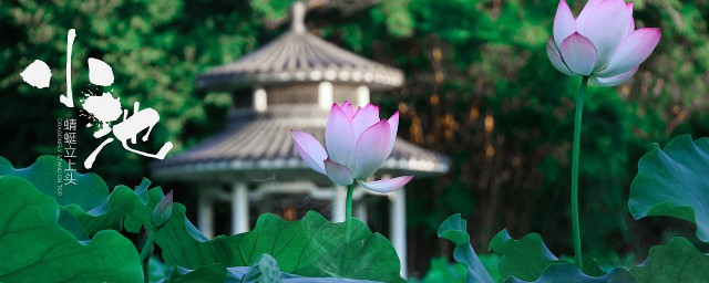 小池描写的是哪个季节 小池原文