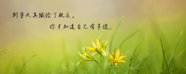 关于看透人心的句子 描写看透人心的句子