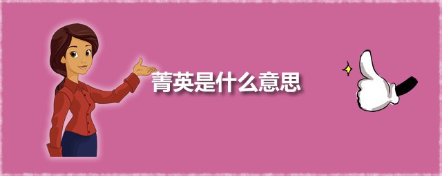 菁英是什么意思 菁英与精英有何区别