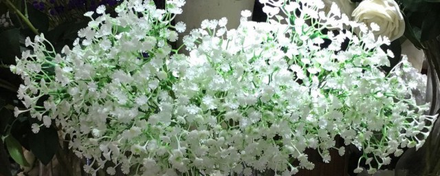满天星发霉了还能拯救吗 满天星发霉了怎么办