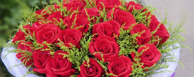 33朵玫瑰花花语和寓意 33朵玫瑰花代表着什么