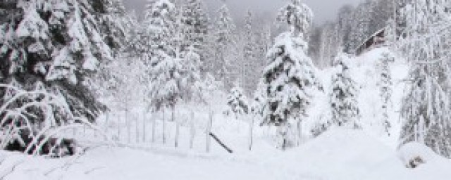 雪的形成是什么物态变化 雪的形成是关于什么的物态变化