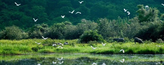 地球三大生态系统是指海洋湿地和什么 地球三大生态系统介绍