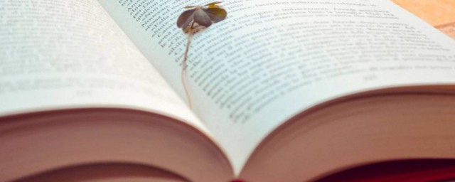 学外语什么梗 学外语梗解释